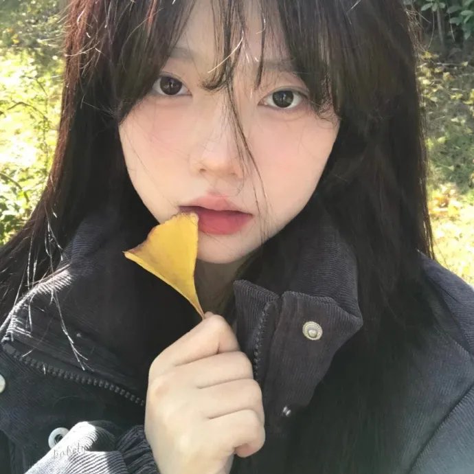 莉迪亚海报