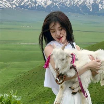 恋爱的母亲们海报